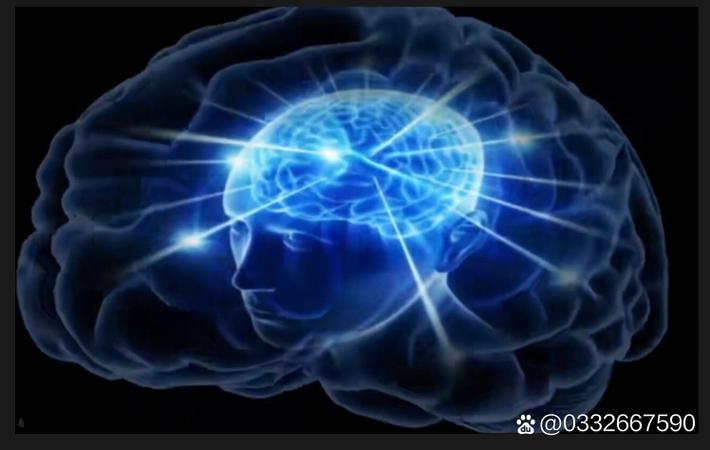 某歌手演唱会现场突然停电，数万观众被困场馆两小时